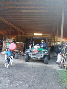 Man backing Gator into the barn