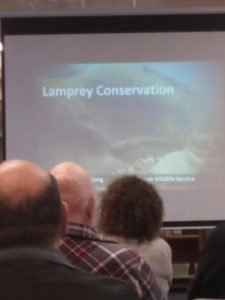 lamprey presentation