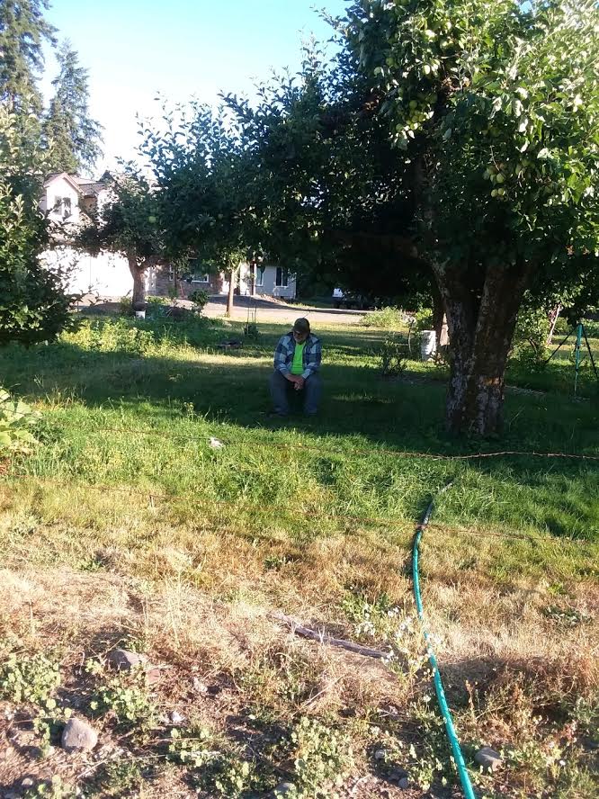 Man sitting under an apple tree on a bucket